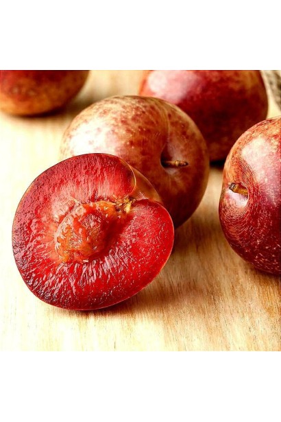 Плоды плуота Черрикос крупным планом